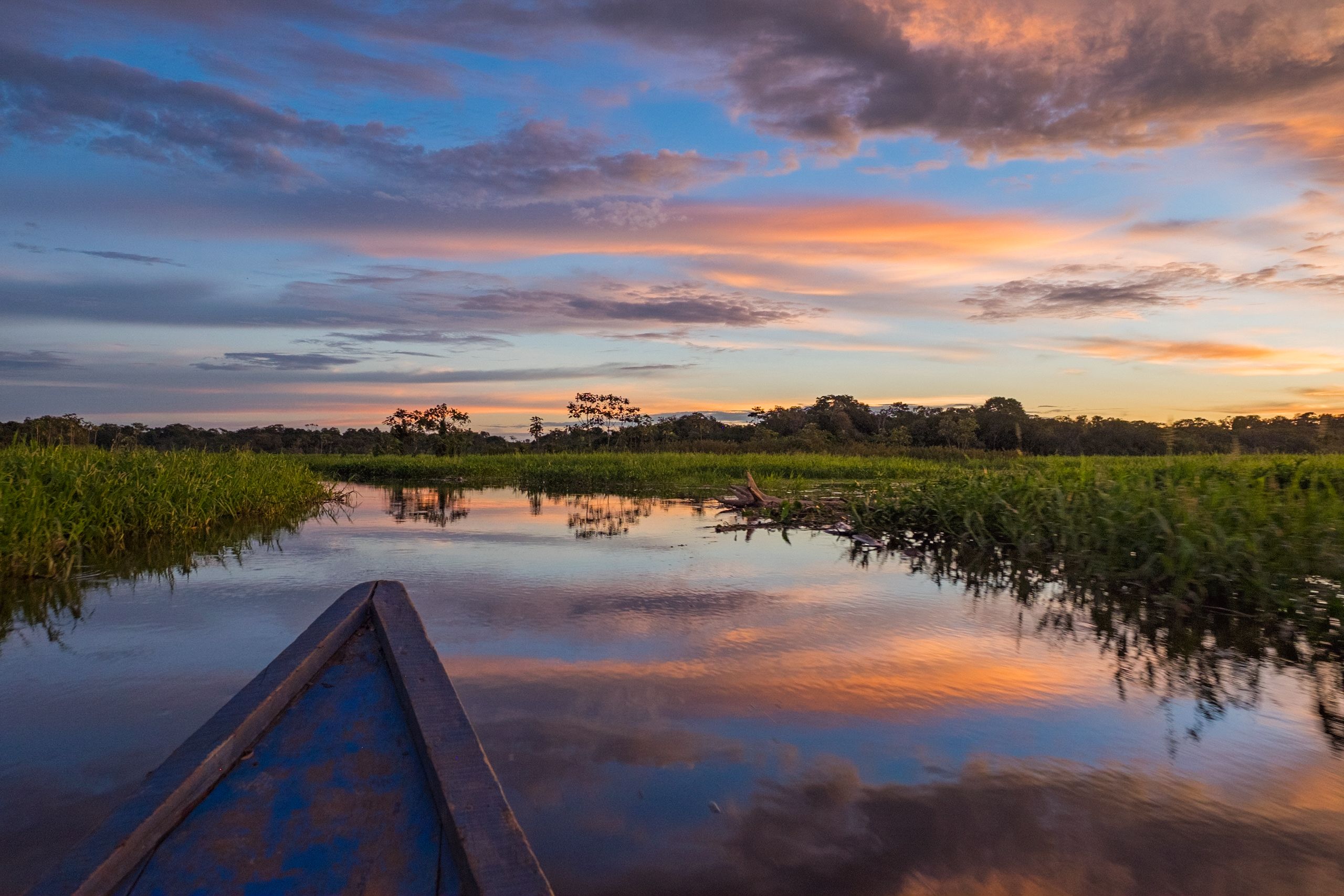 Pucallpa